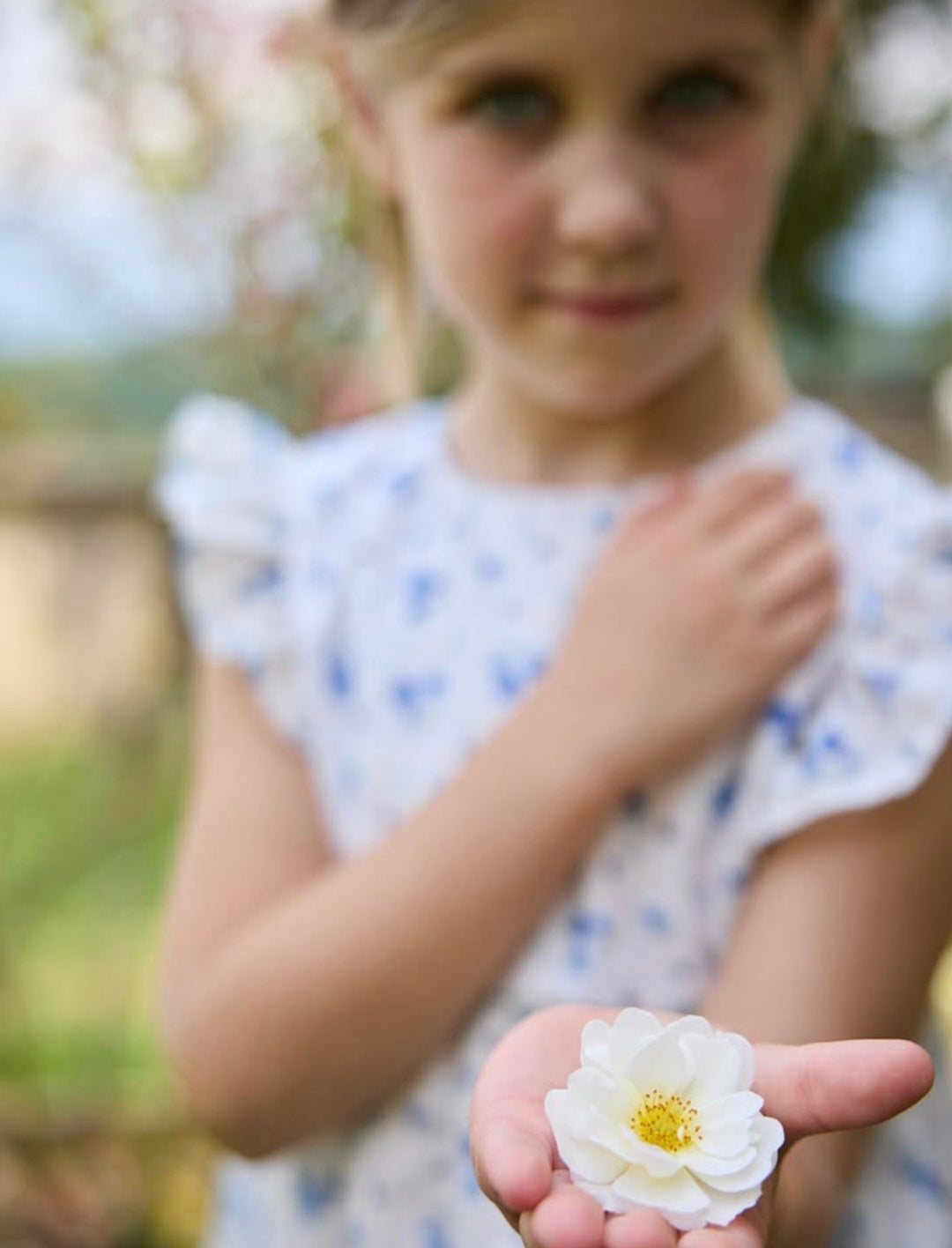 MALVI & CO. Completo 2 Pezzi Top Pizzo Sangallo+Pantalone Palazzo Chambray Indigo