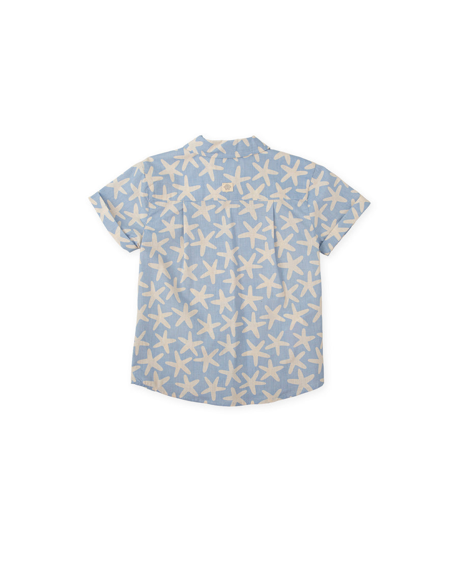 TUTTO PICCOLO Camicia M/C Cotone Fantasia Stella Marina Azzurro Carta da Zucchero-Beige Primavera-Estate